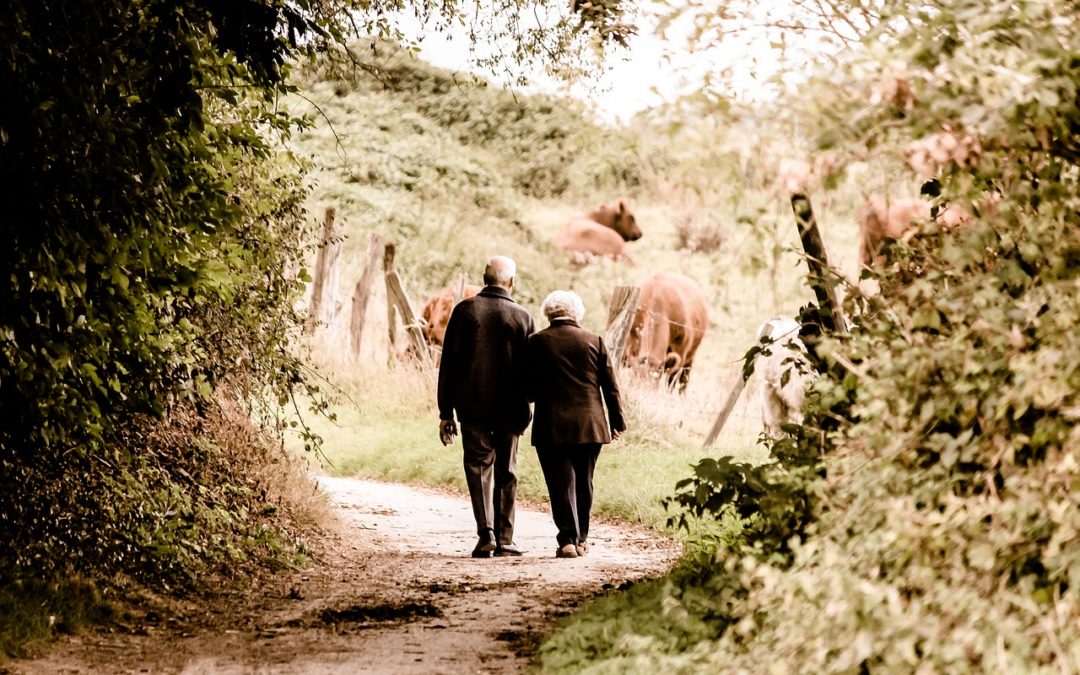 Senior couple walking toward cow pasture