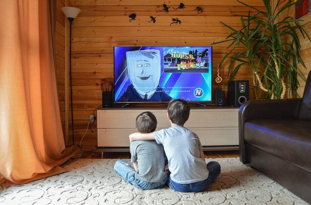 Photo of two young boys watching cartoons
